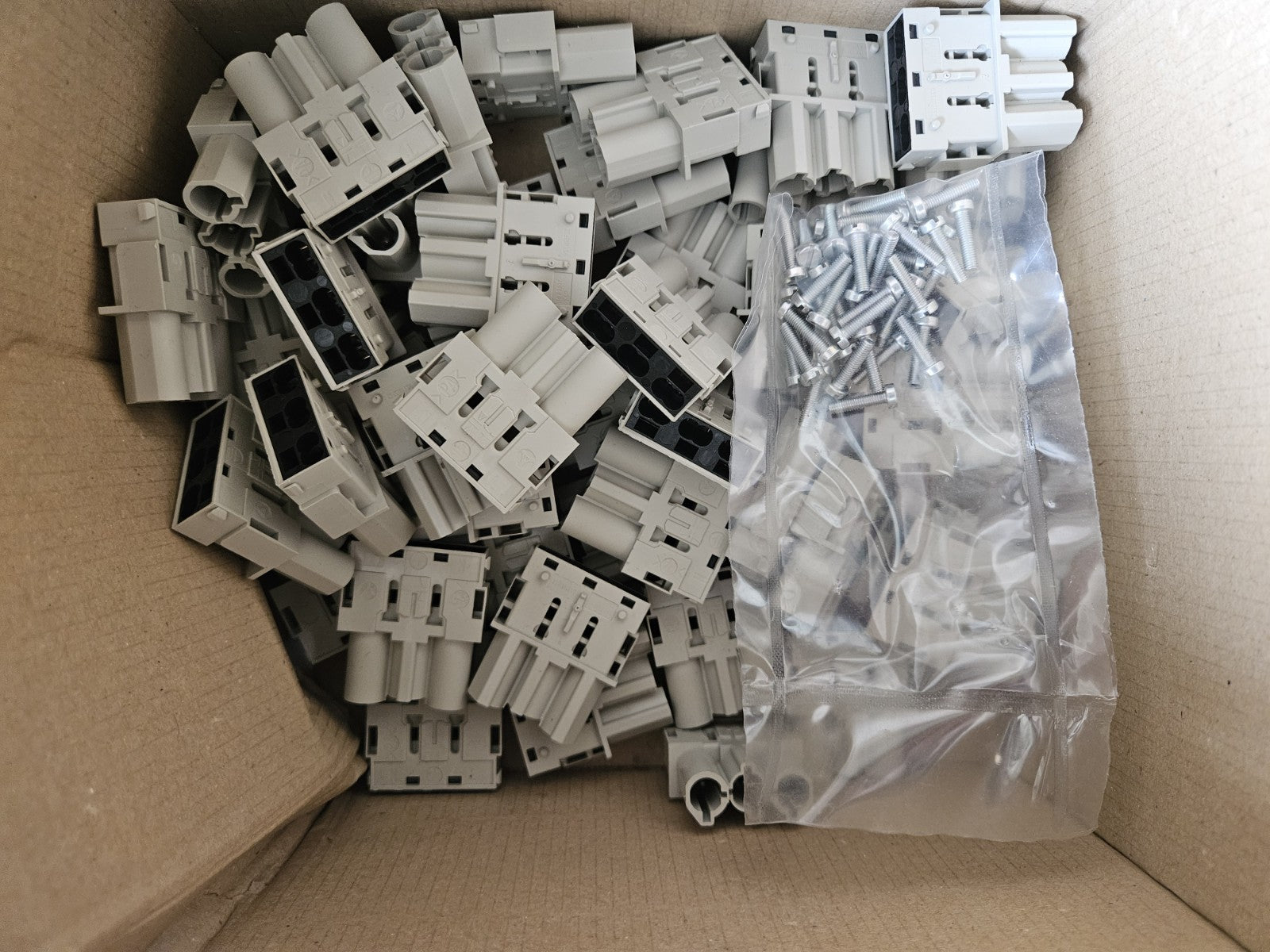 5 x Wieland Gesis GST18i AWG Cu solid CONN.P.APPAR. connecteur MALE C.W.STR-REL